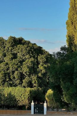 lasierrazuela_alojamiento_01-min